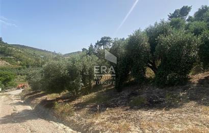 ANTALYA MANAVGAT OYMAPINAR (SEKİ) MAHALLESİ SATILIK TARLA