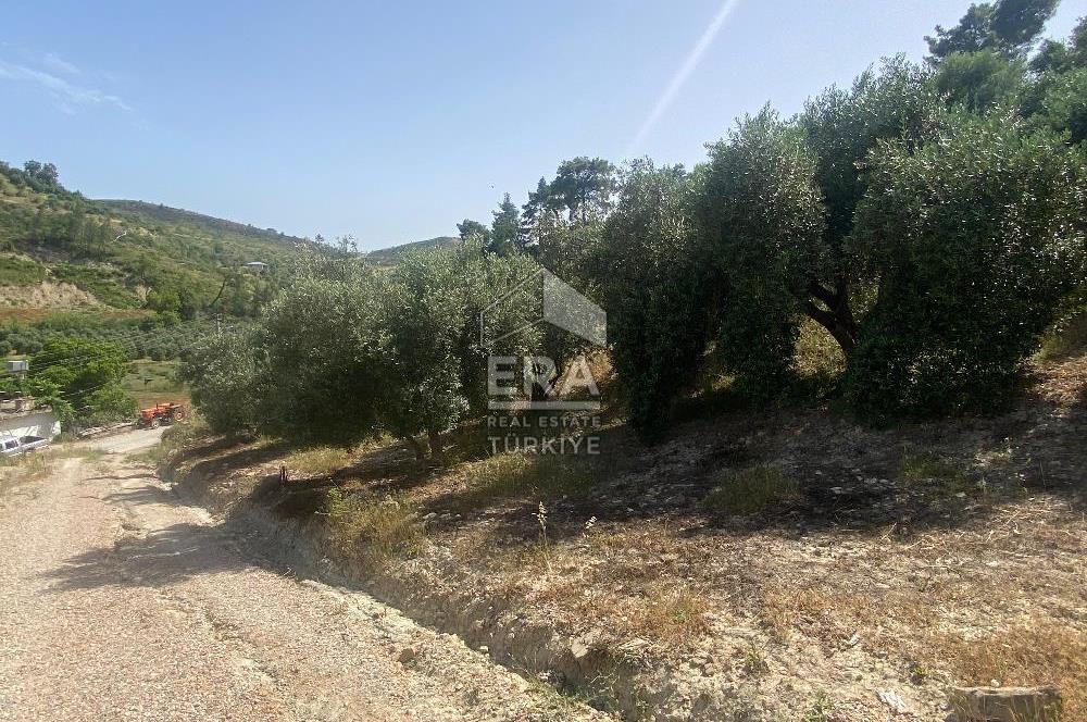 ANTALYA MANAVGAT OYMAPINAR (SEKİ) MAHALLESİ SATILIK TARLA