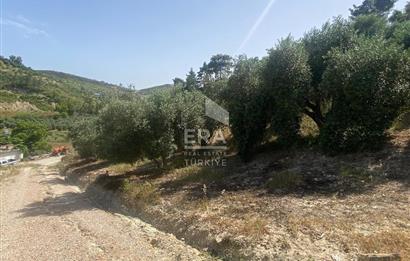 ANTALYA MANAVGAT OYMAPINAR (SEKİ) MAHALLESİ SATILIK TARLA