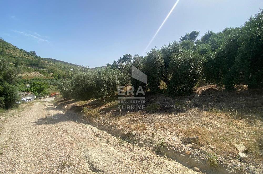ANTALYA MANAVGAT OYMAPINAR (SEKİ) MAHALLESİ SATILIK TARLA