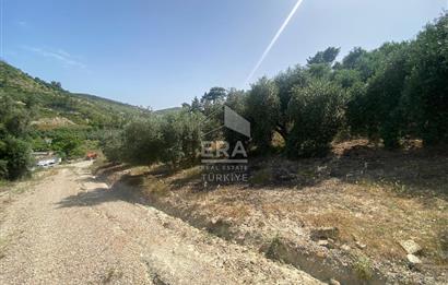 ANTALYA MANAVGAT OYMAPINAR (SEKİ) MAHALLESİ SATILIK TARLA