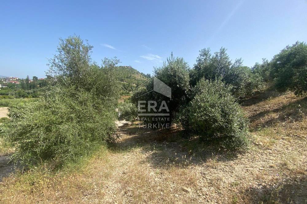 ANTALYA MANAVGAT OYMAPINAR (SEKİ) MAHALLESİ SATILIK TARLA