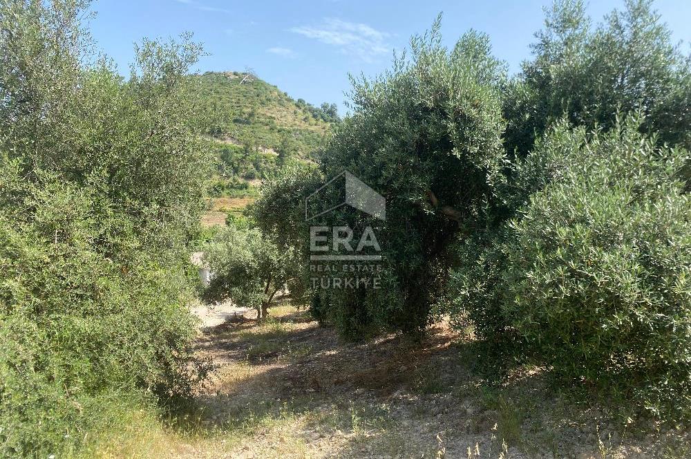 ANTALYA MANAVGAT OYMAPINAR (SEKİ) MAHALLESİ SATILIK TARLA