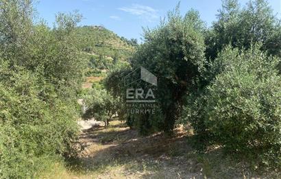 ANTALYA MANAVGAT OYMAPINAR (SEKİ) MAHALLESİ SATILIK TARLA