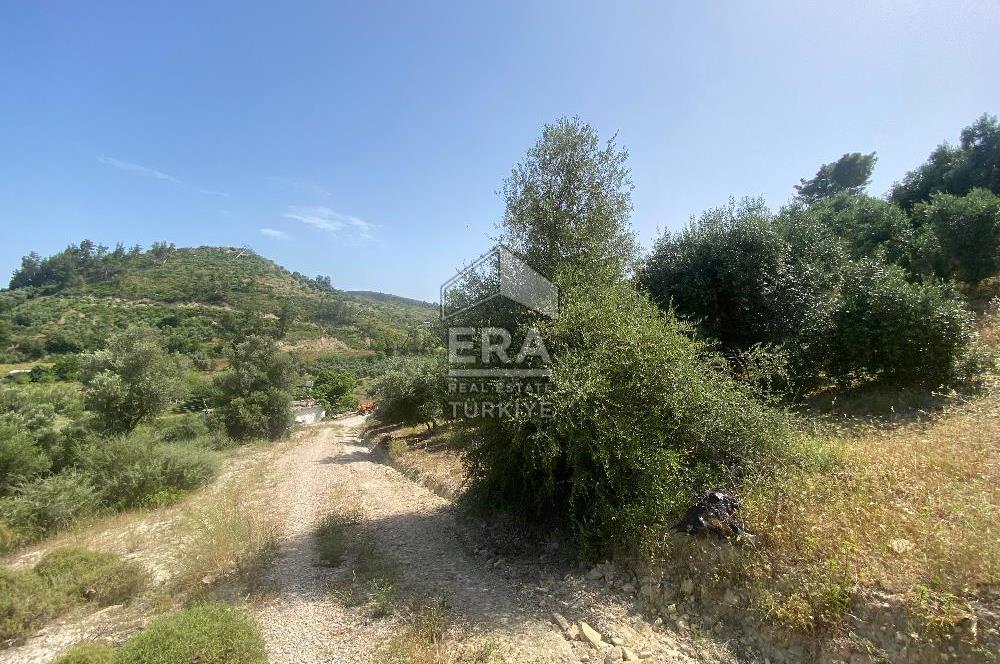 ANTALYA MANAVGAT OYMAPINAR (SEKİ) MAHALLESİ SATILIK TARLA