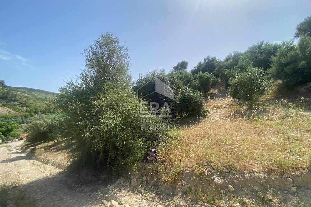 ANTALYA MANAVGAT OYMAPINAR (SEKİ) MAHALLESİ SATILIK TARLA
