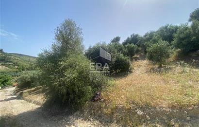 ANTALYA MANAVGAT OYMAPINAR (SEKİ) MAHALLESİ SATILIK TARLA