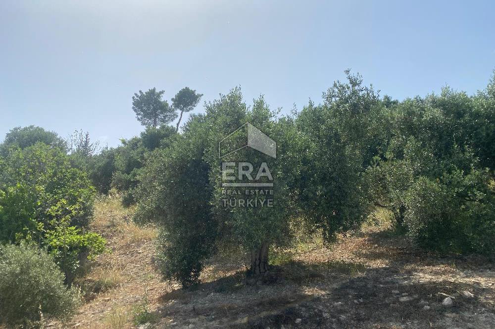 ANTALYA MANAVGAT OYMAPINAR (SEKİ) MAHALLESİ SATILIK TARLA