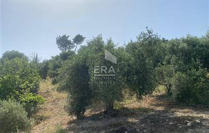 ANTALYA MANAVGAT OYMAPINAR (SEKİ) MAHALLESİ SATILIK TARLA