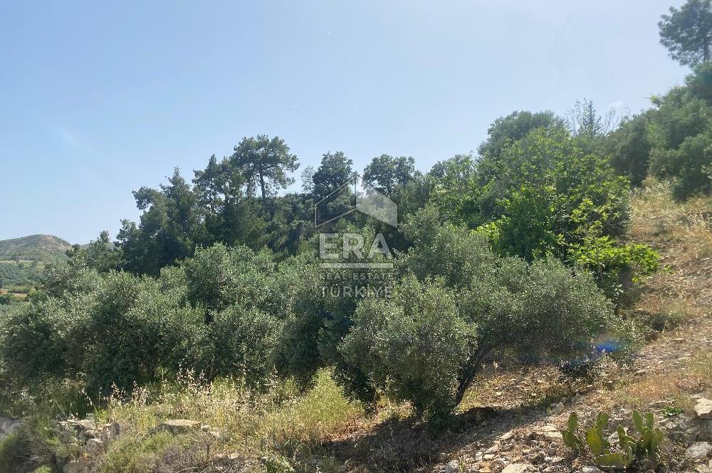 ANTALYA MANAVGAT OYMAPINAR (SEKİ) MAHALLESİ SATILIK TARLA