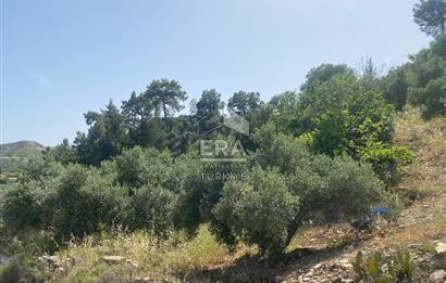 ANTALYA MANAVGAT OYMAPINAR (SEKİ) MAHALLESİ SATILIK TARLA
