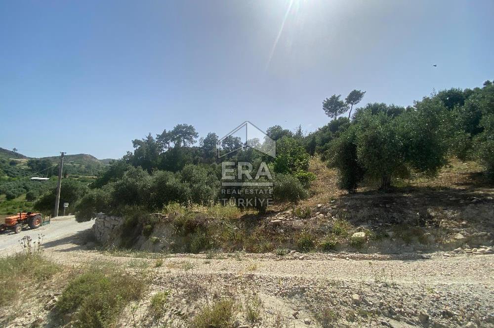 ANTALYA MANAVGAT OYMAPINAR (SEKİ) MAHALLESİ SATILIK TARLA