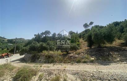 ANTALYA MANAVGAT OYMAPINAR (SEKİ) MAHALLESİ SATILIK TARLA