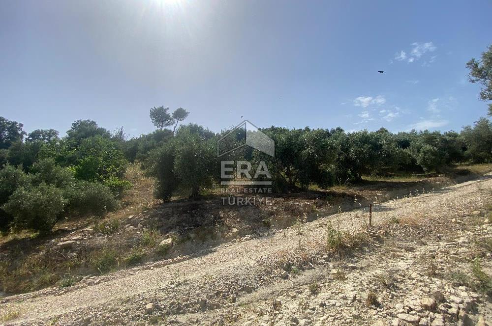 ANTALYA MANAVGAT OYMAPINAR (SEKİ) MAHALLESİ SATILIK TARLA