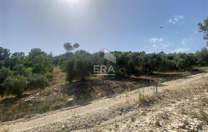 ANTALYA MANAVGAT OYMAPINAR (SEKİ) MAHALLESİ SATILIK TARLA
