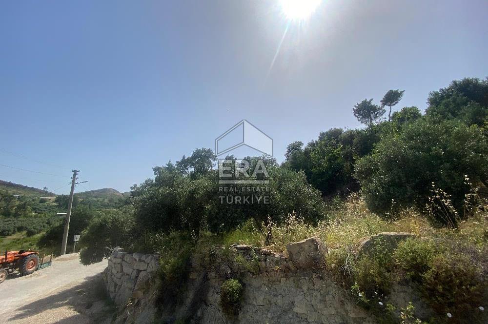 ANTALYA MANAVGAT OYMAPINAR (SEKİ) MAHALLESİ SATILIK TARLA