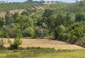 ANTALYA MANAVGAT OYMAPINAR (IĞRIŞLAR) MAHALLESİ SATILIK TARLA