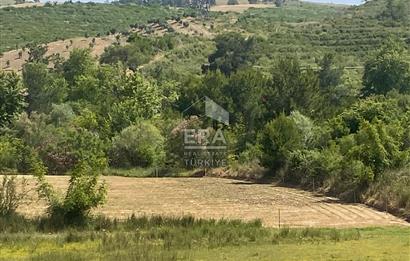 ANTALYA MANAVGAT OYMAPINAR (IĞRIŞLAR) MAHALLESİ SATILIK TARLA