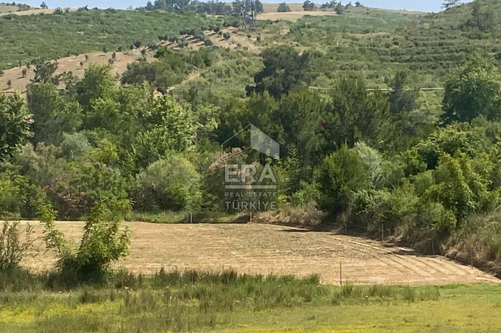 ANTALYA MANAVGAT OYMAPINAR (IĞRIŞLAR) MAHALLESİ SATILIK TARLA