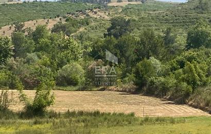 ANTALYA MANAVGAT OYMAPINAR (IĞRIŞLAR) MAHALLESİ SATILIK TARLA