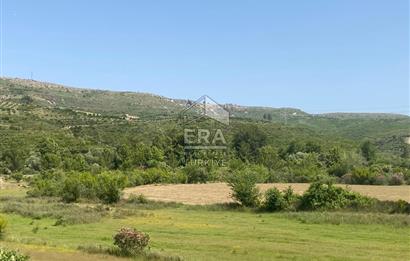 ANTALYA MANAVGAT OYMAPINAR (IĞRIŞLAR) MAHALLESİ SATILIK TARLA