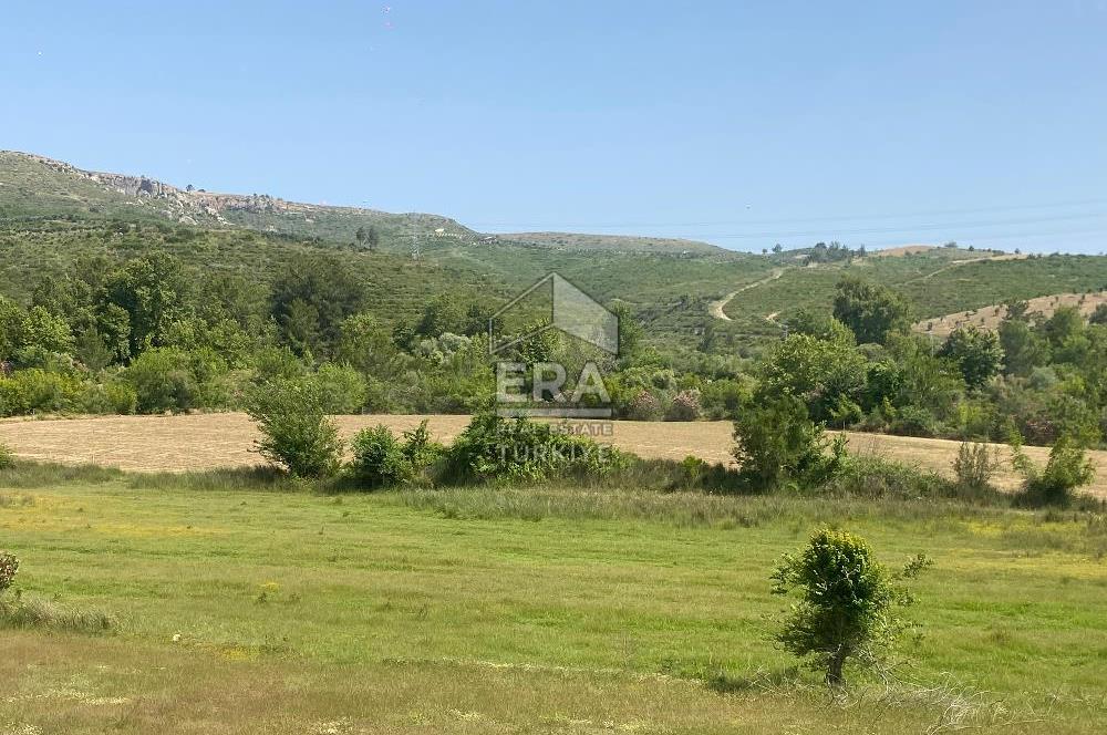 ANTALYA MANAVGAT OYMAPINAR (IĞRIŞLAR) MAHALLESİ SATILIK TARLA