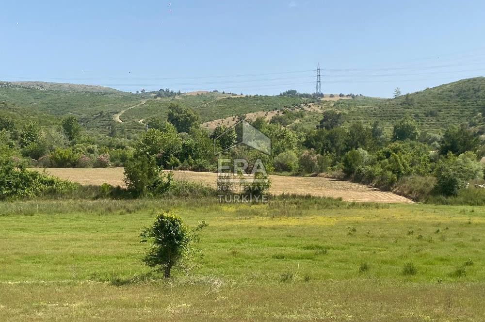 ANTALYA MANAVGAT OYMAPINAR (IĞRIŞLAR) MAHALLESİ SATILIK TARLA