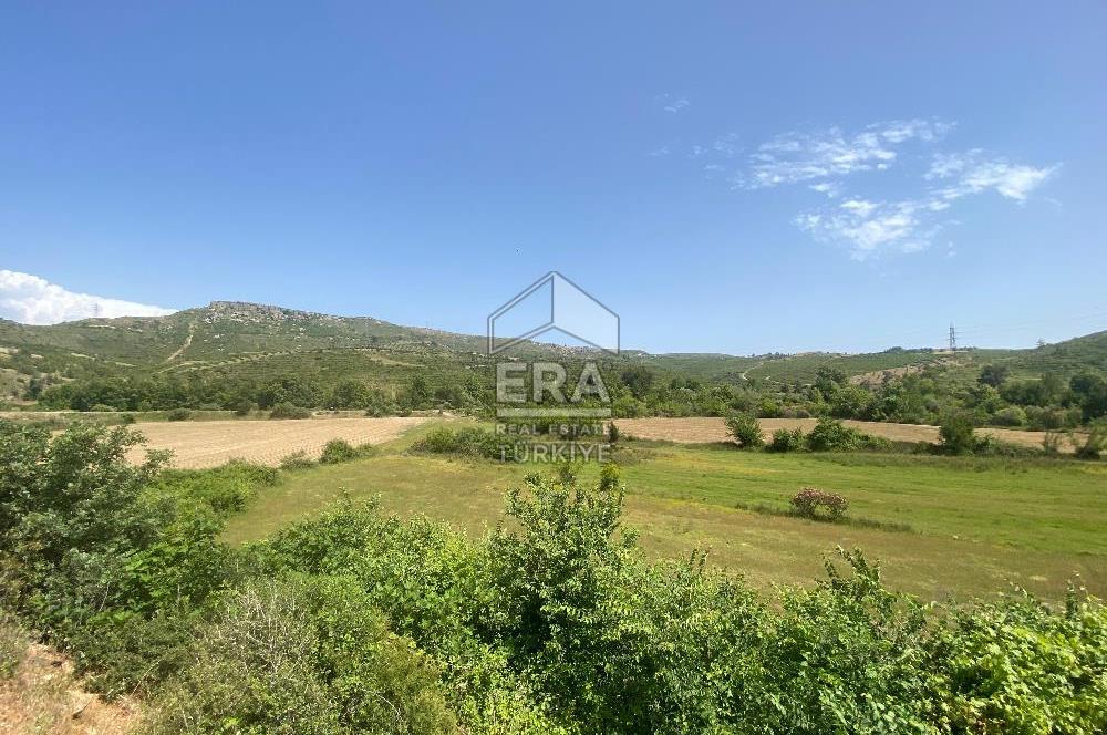 ANTALYA MANAVGAT OYMAPINAR (IĞRIŞLAR) MAHALLESİ SATILIK TARLA