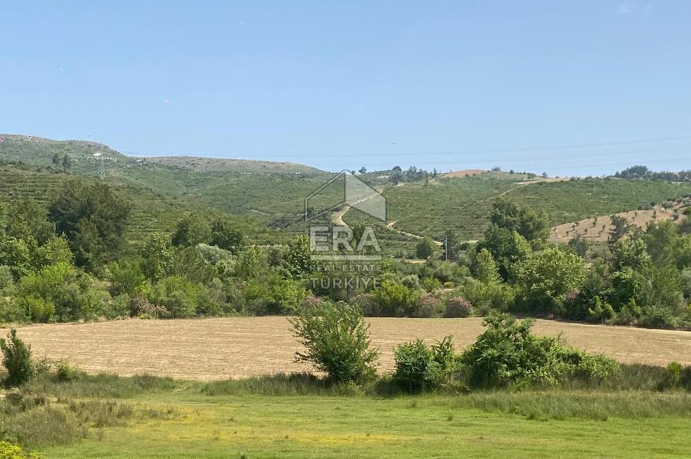 ANTALYA MANAVGAT OYMAPINAR (IĞRIŞLAR) MAHALLESİ SATILIK TARLA