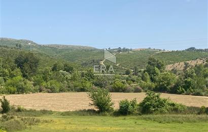 ANTALYA MANAVGAT OYMAPINAR (IĞRIŞLAR) MAHALLESİ SATILIK TARLA