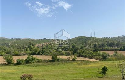 ANTALYA MANAVGAT OYMAPINAR (IĞRIŞLAR) MAHALLESİ SATILIK TARLA