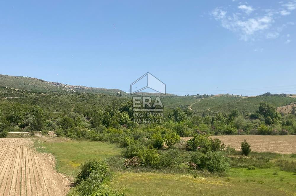 ANTALYA MANAVGAT OYMAPINAR (IĞRIŞLAR) MAHALLESİ SATILIK TARLA