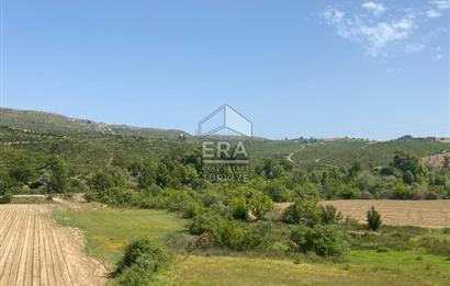 ANTALYA MANAVGAT OYMAPINAR (IĞRIŞLAR) MAHALLESİ SATILIK TARLA