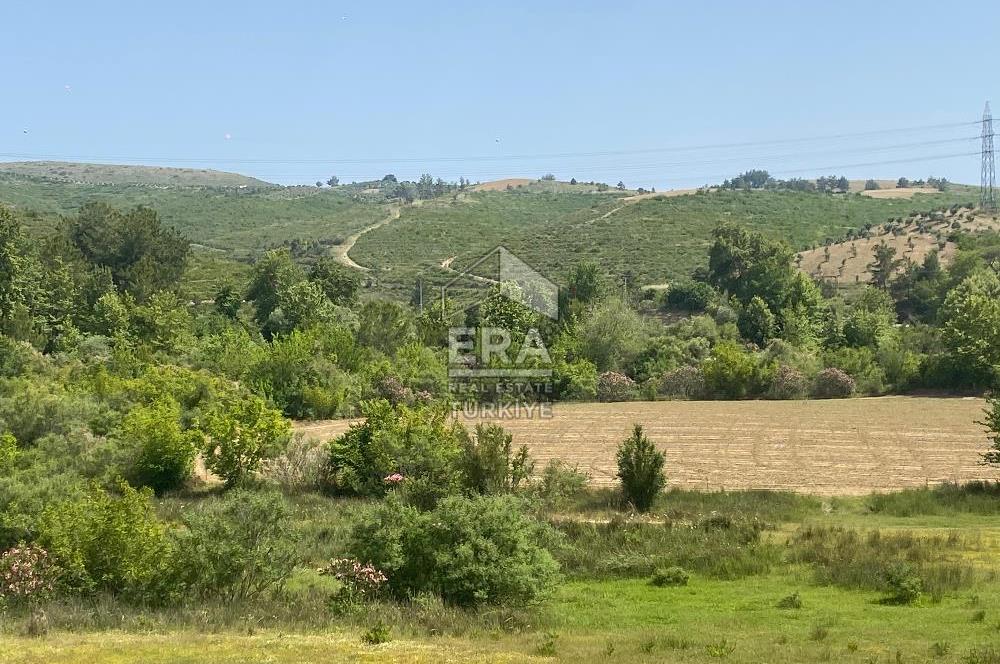 ANTALYA MANAVGAT OYMAPINAR (IĞRIŞLAR) MAHALLESİ SATILIK TARLA