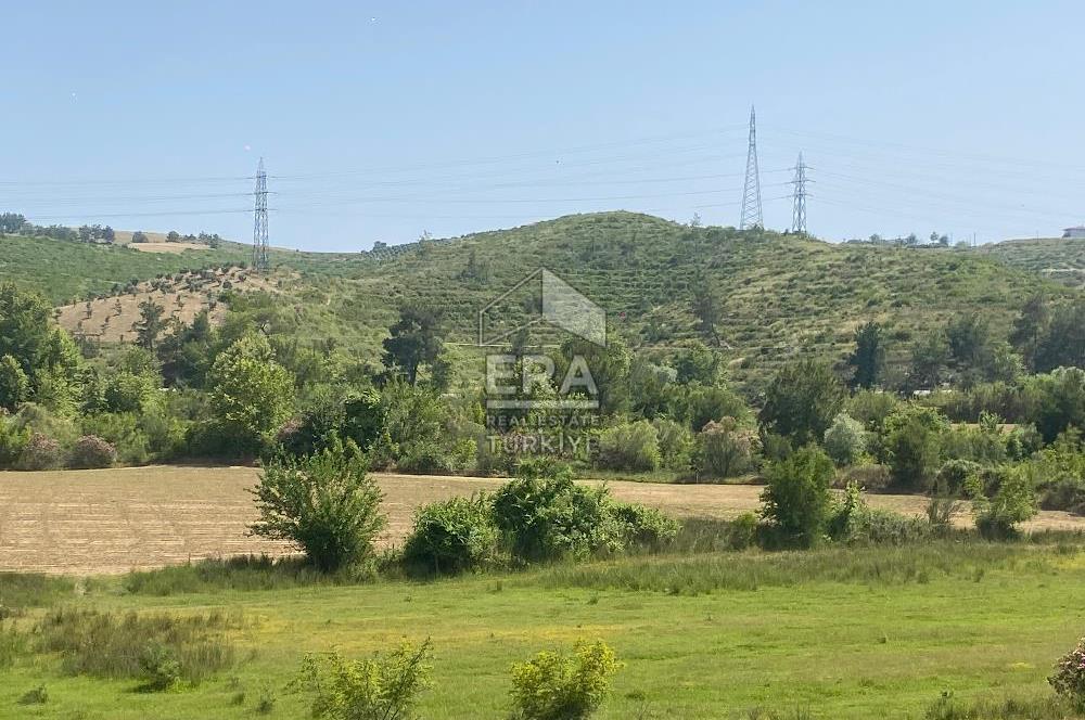 ANTALYA MANAVGAT OYMAPINAR (IĞRIŞLAR) MAHALLESİ SATILIK TARLA