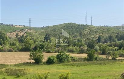 ANTALYA MANAVGAT OYMAPINAR (IĞRIŞLAR) MAHALLESİ SATILIK TARLA