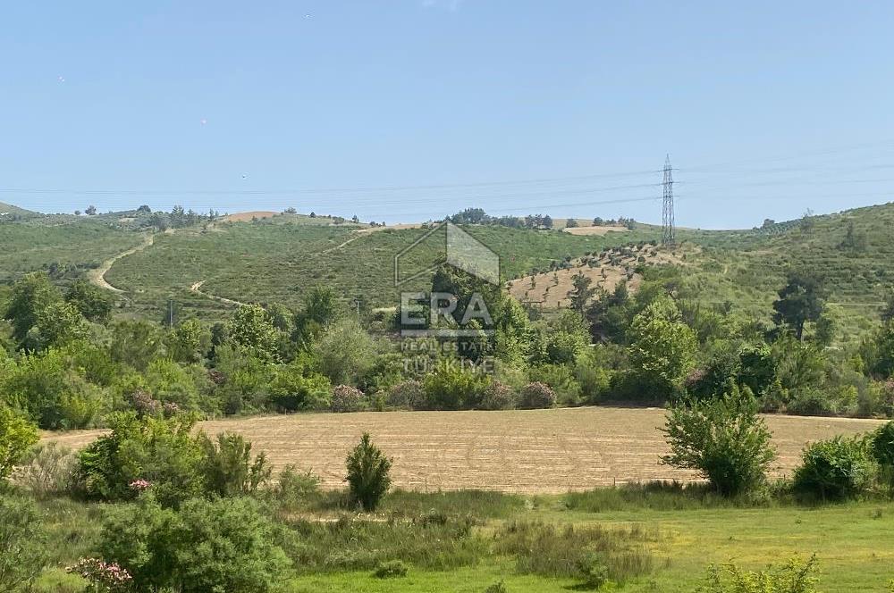 ANTALYA MANAVGAT OYMAPINAR (IĞRIŞLAR) MAHALLESİ SATILIK TARLA