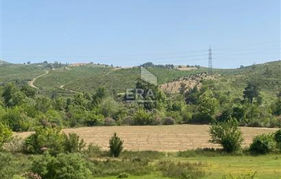 ANTALYA MANAVGAT OYMAPINAR (IĞRIŞLAR) MAHALLESİ SATILIK TARLA