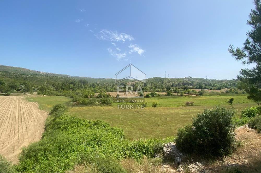 ANTALYA MANAVGAT OYMAPINAR (IĞRIŞLAR) MAHALLESİ SATILIK TARLA