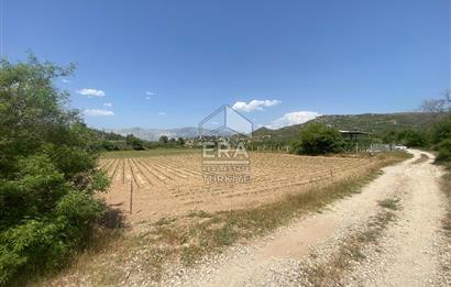 ANTALYA MANAVGAT OYMAPINAR (IĞRIŞLAR) MAHALLESİ SATILIK TARLA