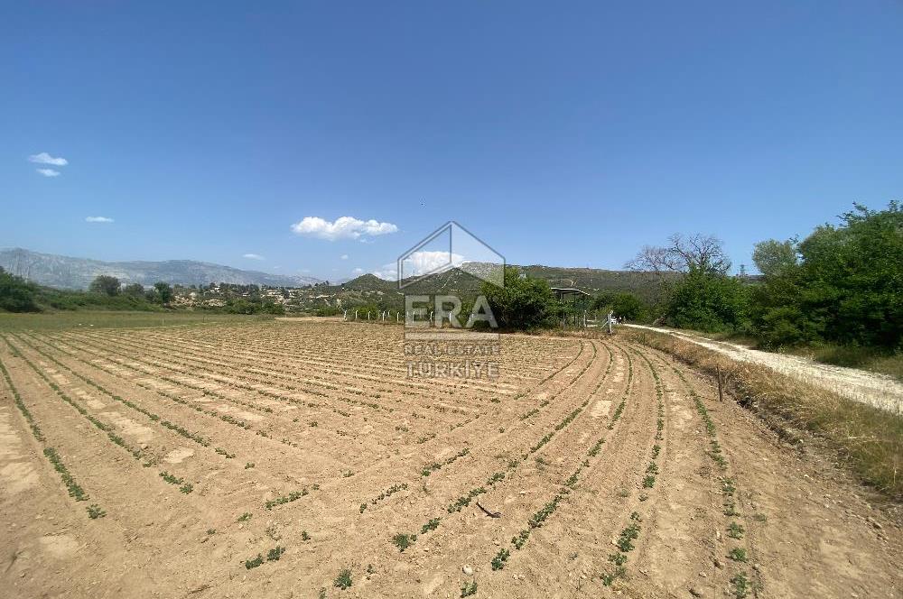 ANTALYA MANAVGAT OYMAPINAR (IĞRIŞLAR) MAHALLESİ SATILIK TARLA
