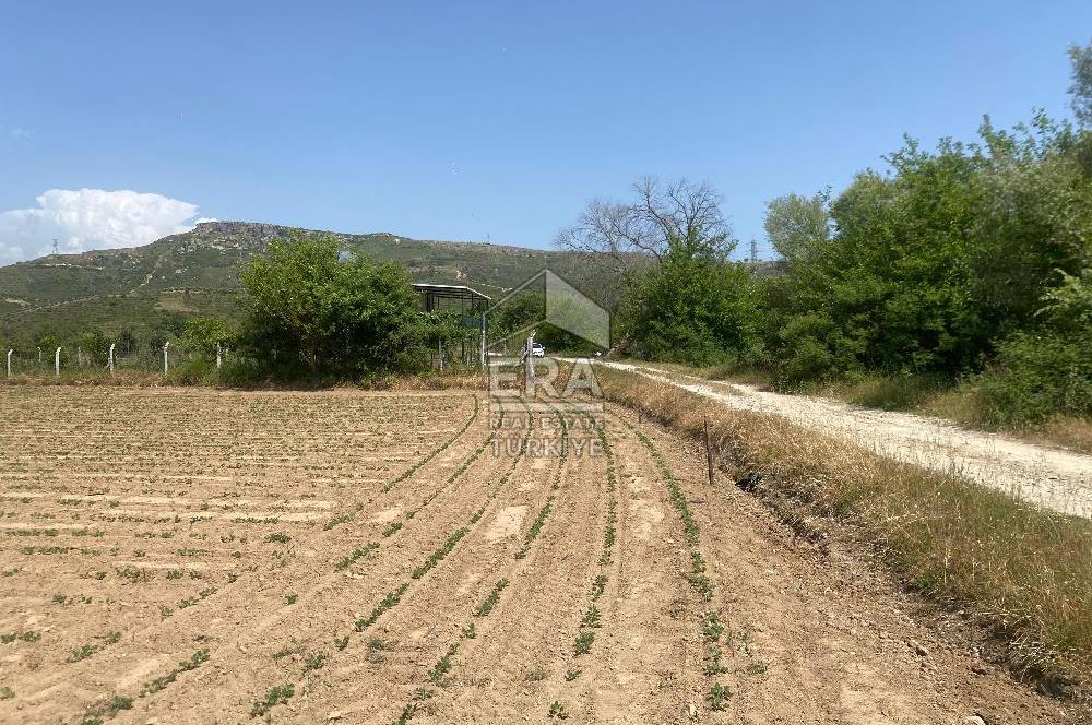 ANTALYA MANAVGAT OYMAPINAR (IĞRIŞLAR) MAHALLESİ SATILIK TARLA