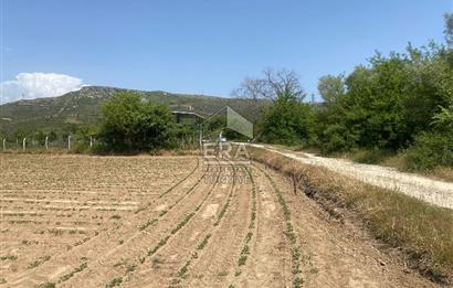 ANTALYA MANAVGAT OYMAPINAR (IĞRIŞLAR) MAHALLESİ SATILIK TARLA