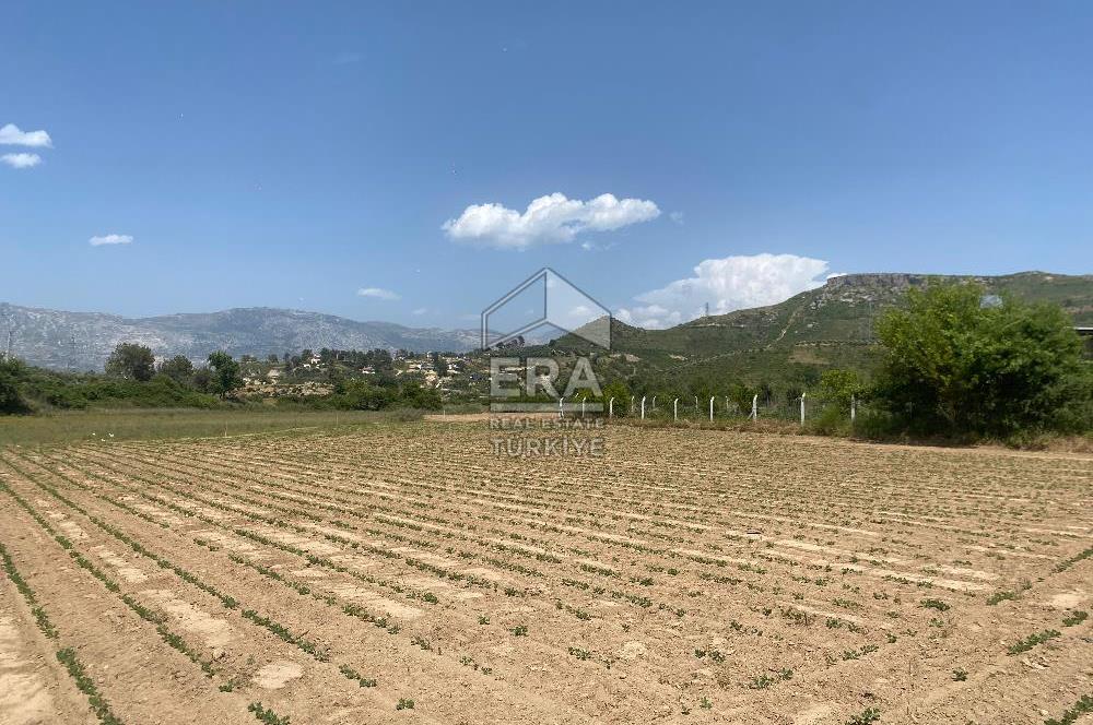 ANTALYA MANAVGAT OYMAPINAR (IĞRIŞLAR) MAHALLESİ SATILIK TARLA