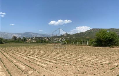 ANTALYA MANAVGAT OYMAPINAR (IĞRIŞLAR) MAHALLESİ SATILIK TARLA