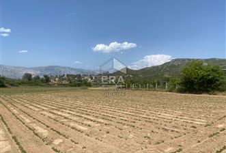 KONYA BEYŞEHİR ÜZÜMLÜ MAHALLESİ SATILIK TEK TAPU TARLA