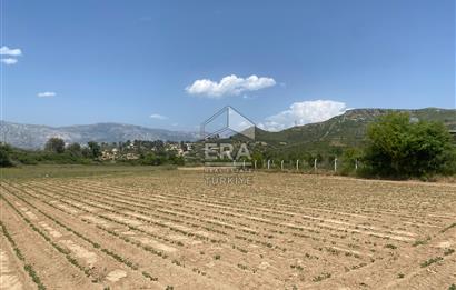 KONYA BEYŞEHİR ÜZÜMLÜ MAHALLESİ SATILIK TEK TAPU TARLA