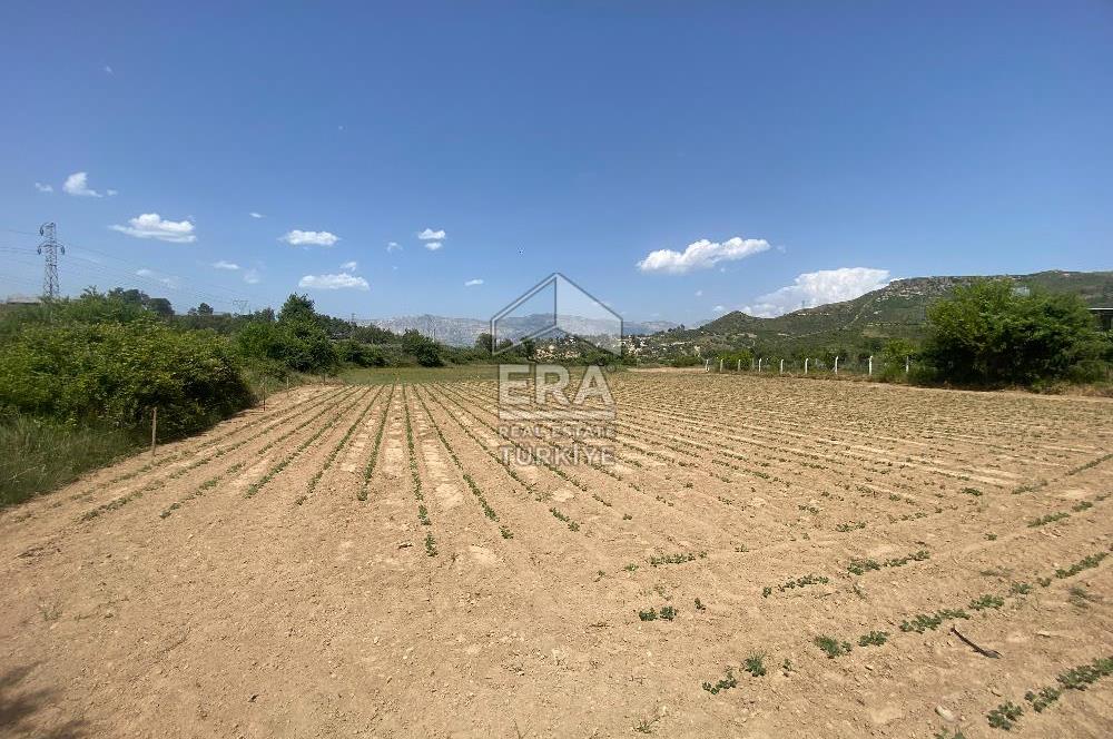 ANTALYA MANAVGAT OYMAPINAR (IĞRIŞLAR) MAHALLESİ SATILIK TARLA