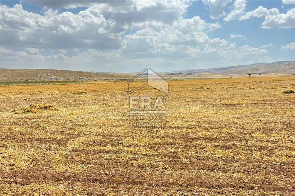 Binatlı köyünde satılık müstakil tarla