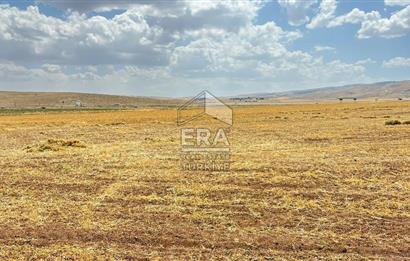 Binatlı köyünde satılık müstakil tarla